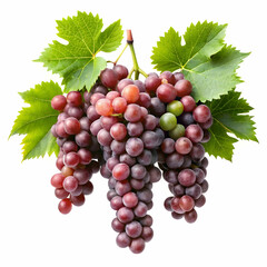Fototapeta premium bunch of grapes