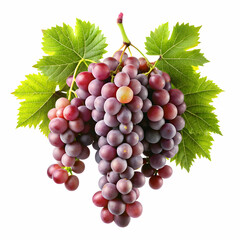 Fototapeta premium bunch of grapes