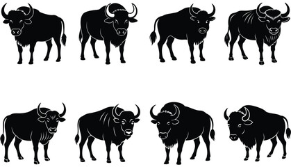Buffalo  Vector Shilhouette Bundle Set Collection