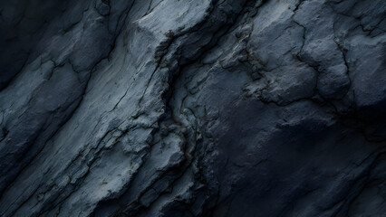 Bark of a tree texture