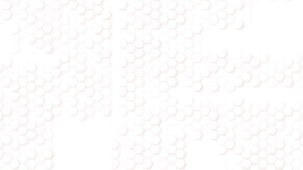 Honeycomb pattern with hexagon mesh. Texture bee comb grid. Line grid of hexagons black and white seamless pattern. Raster.