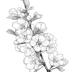 .Illustration of trees, leaves, grass and various botanical elements on a white background.