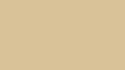 Light Beige Solid Color Background