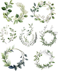 illustrations of various trees, leaves, grasses, and botanical elements on white background.