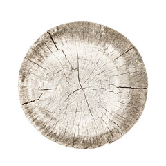 Fototapeta premium Old circle wood with cross-section isolated