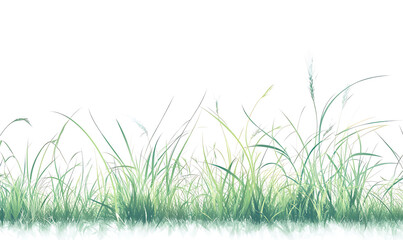 illustrations of various trees, leaves, grasses, and botanical elements on white background.