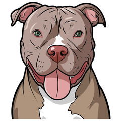 Pitbull vector