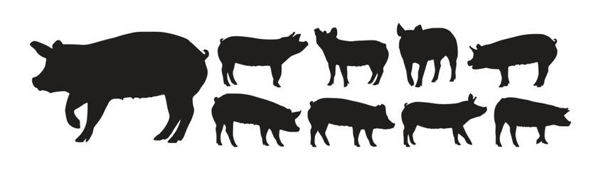 pig animal silhouettes