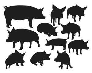 pig animal silhouettes