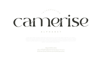 Camerise Elegant Font Uppercase Lowercase And Number. Classic Lettering Minimal Fashion Designs. Typography modern serif fonts regular decorative vintage concept. vector illustration