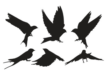 swallow silhouette