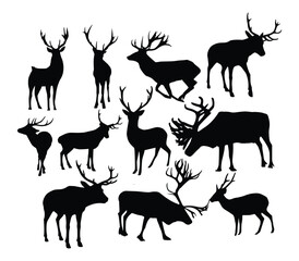 male deer silhouette