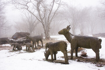 Fototapeta premium Deers statue and snow falling in forest on Hanla Mountain volcano or Mount Halla in Hallasan National Park for korean people travelers travel visit at Jeju on February 17, 2023 in Jeju-do, South Korea