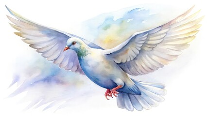 Obraz premium white dove flying