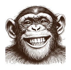 lineart sketch drawing - chimpanzee happy smile face (artwork 3)