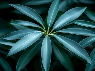 Beautiful close up photo of a green plant and its leaves