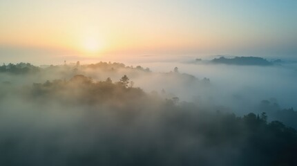 Fototapeta premium An aerial view of rolling hills covered in dense mist, with tree tops peeking through the fog and soft golden sunlight breaking through the clouds
