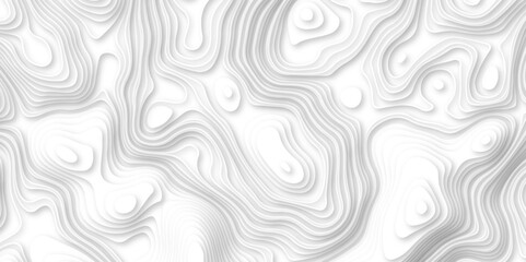 Abstract wavy line 3d paper cut white background. white and gray luxury grid topography map and satin smooth wallpaper matt paper light texture. White waves decorative papercut design.