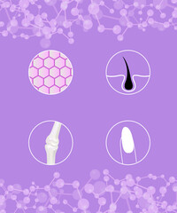 Hyaluronic acid teeth and gum, bone and joint solutions ad, purple collagen with cosmetic advertising background ready to use, illustration vector.