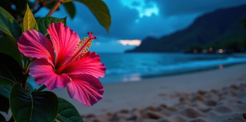 Colorful hibiscus flowers shining on Maui beach at night,  escape,  Maui