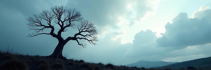 Dark and dramatic silhouette of dead tree against white clouds on sky background for Halloween theme and emotional concepts of death, peace, despair, and sadness,  white clouds,  despair