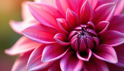 Fototapeta premium Close-up of a vibrant dahlia flower showing intricate petals and vivid colors, vivid, colors