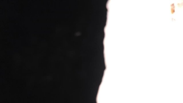 Flying Insects In Black Or Dark Background