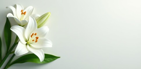 Obraz premium Condolence card with delicate white lilies symbolizing peace and serenity, designed using Generative AI, serene, funeral symbol
