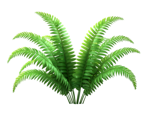 Green Fern Plant Isolated on Transparent Background for Botanical Illustration - Powered by Adobe