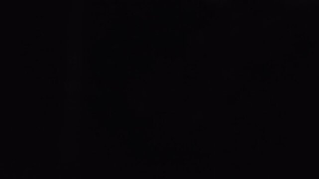 Flying Insects In Black Or Dark Background