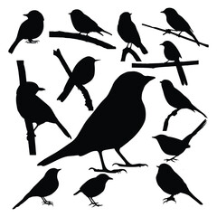 small bird silhouette