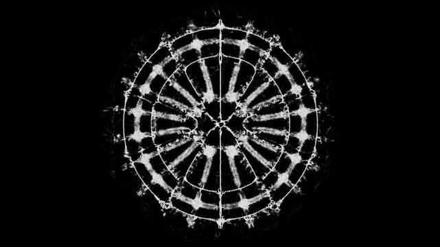 Cymatic Patterns in Mycelium Growth