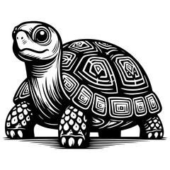 Tortoise Sketch Drawing.