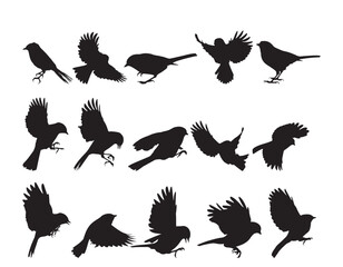 small bird fly silhouette