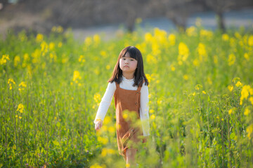 Fototapeta premium 菜の花に包まれて微笑む女の子の春のひととき
