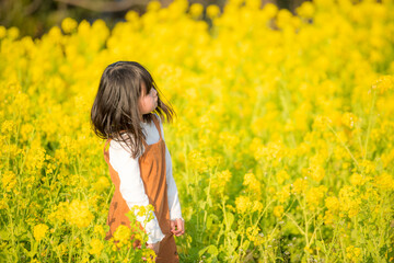 菜の花に包まれて微笑む女の子の春のひととき
