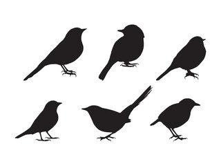 set small bird silhouette