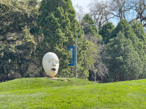Egg heads on a hill at UC Davis near Arboretum.
