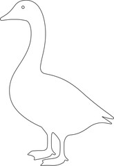 Vector illustration of a goose and a duck in a simple artistic design