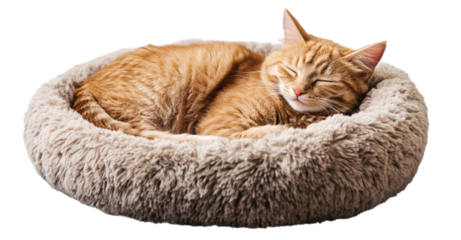 Cute cat sleeping in a soft, fluffy, furry bed, isolated on a transparent background