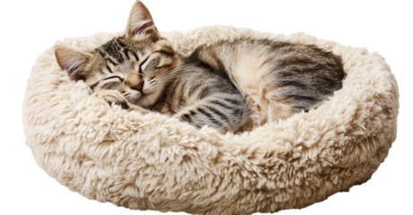 Cute cat sleeping in a soft, fluffy, furry bed, isolated on a transparent background