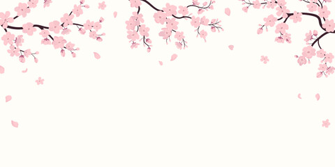 Falling sakura petals with blooming branches on white background. Flat vector illustration. Grainy texture effect. Ideal for banner, poster, wedding invitations, covers.