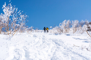 春の根子岳スノーハイク登山