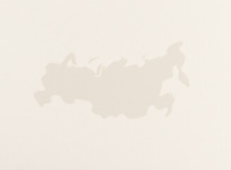 an image of a cow is standing in the middle of a field, there is a picture of a shadow of a horse on a wall