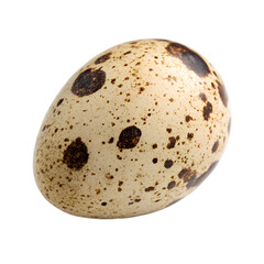 quail egg isolated on transparent 