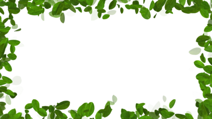 green tea leaves frame isolated on transparen background,png leaf nature and drink,cosmetics and beauty social media design element 