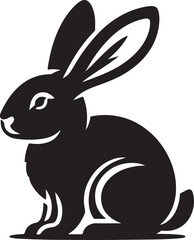 black and white rabbit