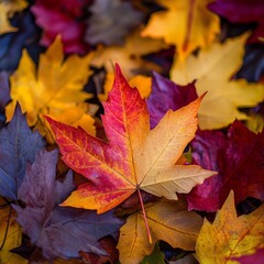 Autumn's Tapestry: A Colorful Cascade of Fallen Maple Leaves in Shades of Red, Gold, Burgundy, and Brown