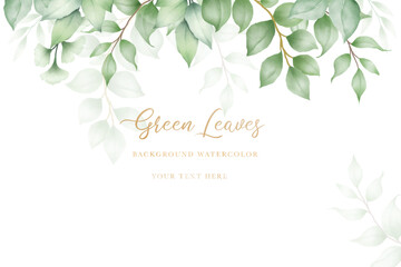 beautiful  background green leaves watercolor
