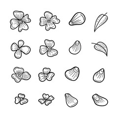 Hand-drawn botanical doodles of flowers, petals, and leaves in delicate black outlines, perfect for garden design, organic labels, and floral art prints.